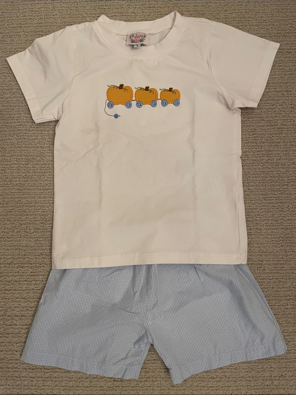 Pumpkin Patch outfit, top and shorts set, size 5
